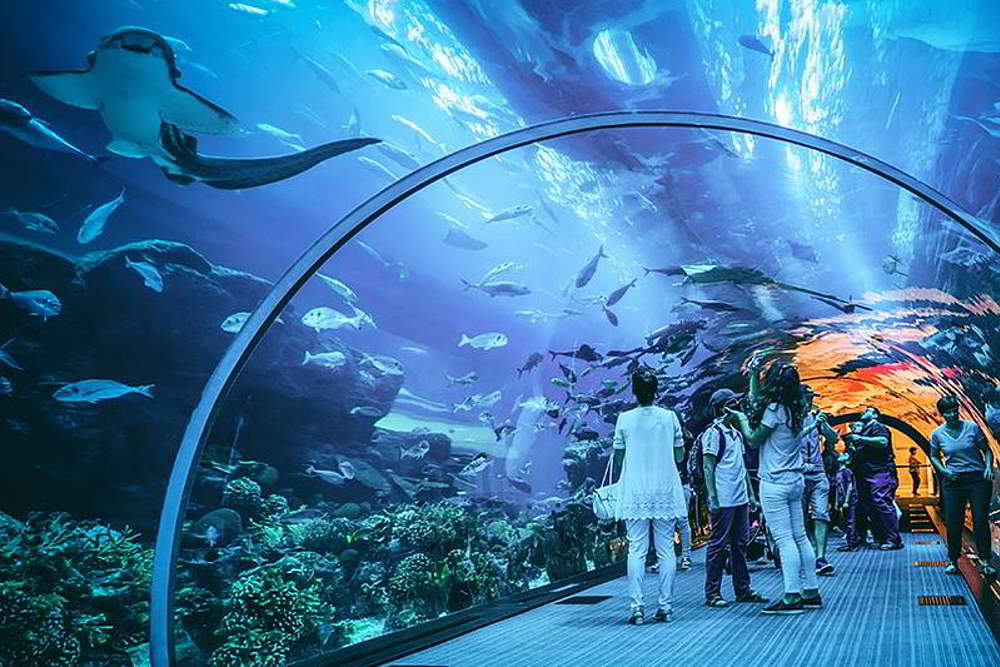 אקוואריום דובאי – Dubai aquarium
